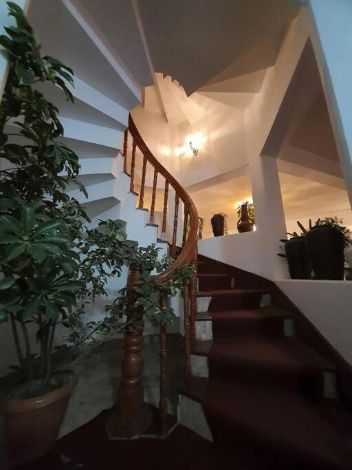 Ghost Villa Pokhara With Mountain View 20Mins From Main Area Ranipauwa Exterior photo