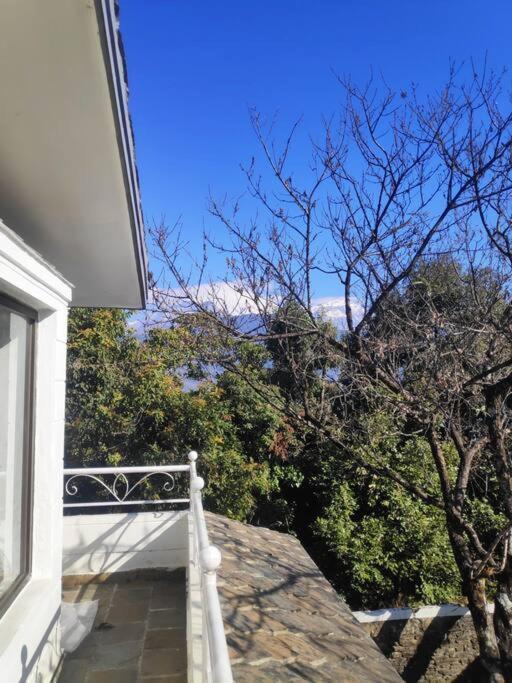Ghost Villa Pokhara With Mountain View 20Mins From Main Area Ranipauwa Exterior photo