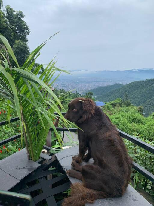 Ghost Villa Pokhara With Mountain View 20Mins From Main Area Ranipauwa Exterior photo