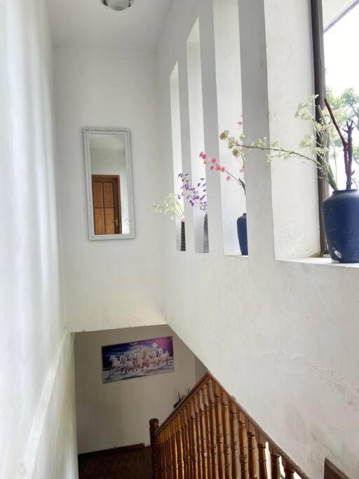 Ghost Villa Pokhara With Mountain View 20Mins From Main Area Ranipauwa Exterior photo